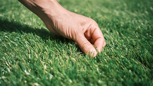 Garden experts issue major artificial lawn warning, kids & pets could be at risk