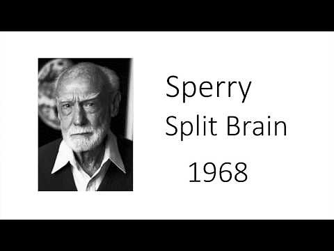 Sperry (1968) in 2 minutes