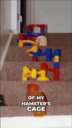 From Age 3 to Mastering Rube Goldberg: My Machine Building Story!