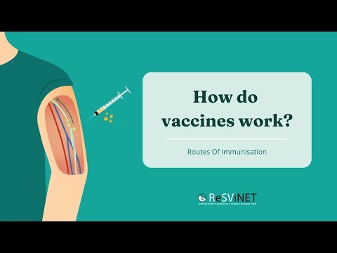 How Vaccines Work – Explained in 4 Minutes