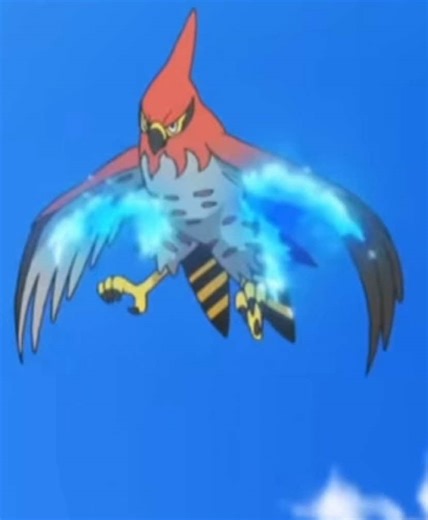 Talonflame The Scorching Type Pokemon #pokemon #anime #edit #animeedit #fyp #viral #trending #trend #talonflame #ashketchum #cartoon #firstedit #pokemongames #kalos #goat #tuffedit