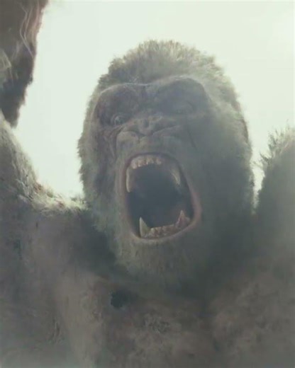 “This is what loyalty looks like. 🥺 (George saves Davis / Rampage 2018)”