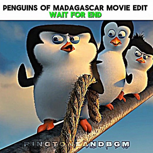 "The Perfect Penguin Team You Need scene"] 😎🤫 The Penguins of Madagascar Movie Edit #movie #edit