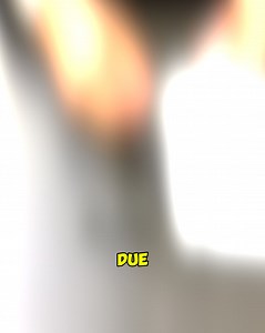 FREE Mystery Box: For True Outdoorsmen! 🏞️ Packed with survival tools and gear No memberships, no trials, no sign-ups Order today, pay only for shipping! | Mysurvivalpromos