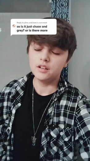 Reply to @pims.and.hoes #disassociativeidentiydisorder #didsystem #did #system #primaryprotector #bpd #alters #didalters #didalterpost #didalter