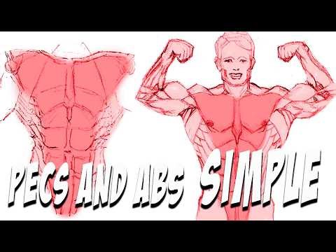 How to Draw Pecs and Abs Using One Simple Shape