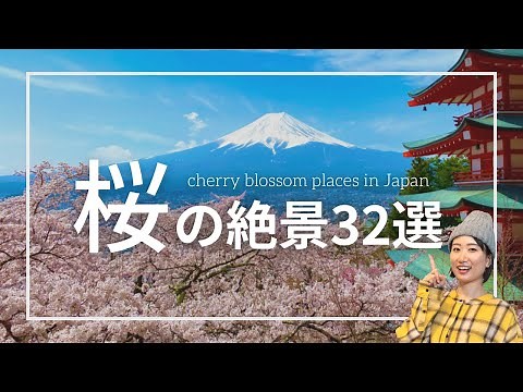 この春に行きたい！日本の桜の絶景ベスト30｜全都道府県を訪れた中から厳選＆スマホ撮影のコツ