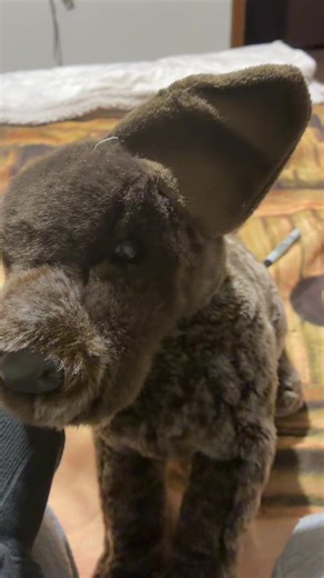 Rusty (@rusty2474)’s videos with Golden Brown (Slowed Down Version) - The Stranglers