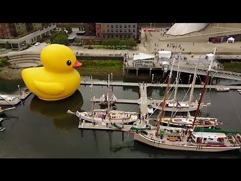 World`s largest rubber duck in Sandusky