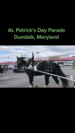 Benchfieldfarms on TikTok