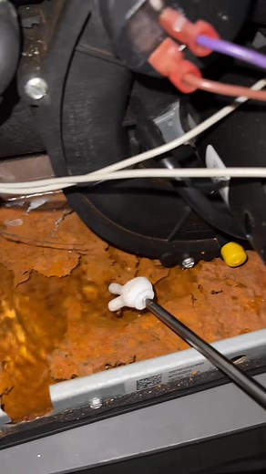 Anyone up for a swim inside this furnace… Regular maintenance is key!! | P.I. Home Inspection Services