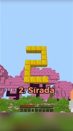 The Most Common Minecraft Biome REVEALED! ⛏💎