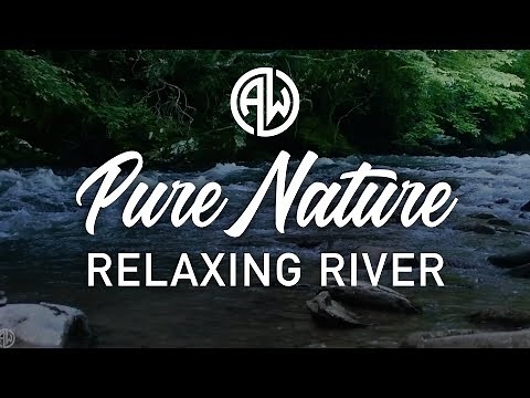Beautiful River Ambience | Soothing & Relaxing Sounds of Nature