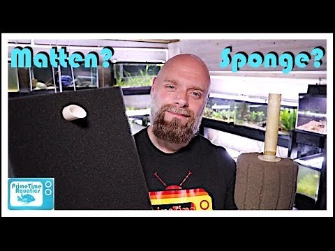 Matten Filter vs Sponge Filter: Fish Tank Filter Showdown!