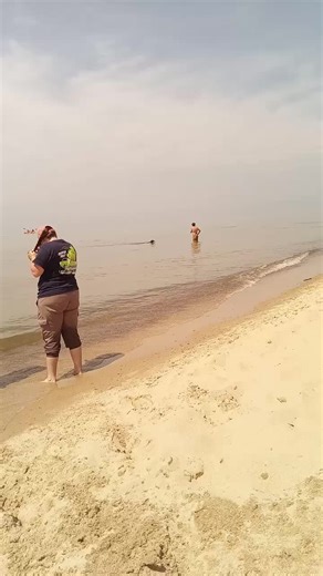 Went to a dog beach in Michigan today, not our cup of tea,dogs must be leashed at all times no longer than a 6 foot lead. It's pretty crowded, but still incredible that they offer a portion of the beach for the dogs.