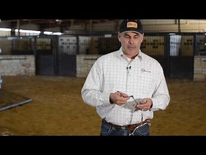 Types Of Bits - The Perfect Bit Horse Bits Explained