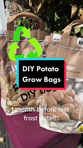 DIY potato grow bag made from a sturdy dog food bag. Plant potatoes one month before last frost date. Make sure containers and grow bags aren’t directly on dirt to avoid ants or other bugs from crawling in and setting up their new home #garden #gardentok #canadiangardener #gardeningtipsandtricks #reuse #recycle #growbag #potatoes