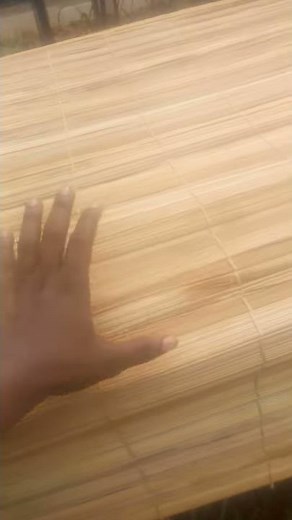 Snail farming in Nigeria,Africa.