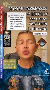 TOXOPLASMOSIS from CAT POOP can Cause ABORTIONS in HUMANS Doc Abel Manalo #cats #catpoop #toxoplasma #toxoplasmosis #toxoplasmagondii #SDN #SCN #catfood #rawmeat #rawmeatfeeding #rawfeeding #raw #vet #veterinarianlife | Doc Abel Manalo