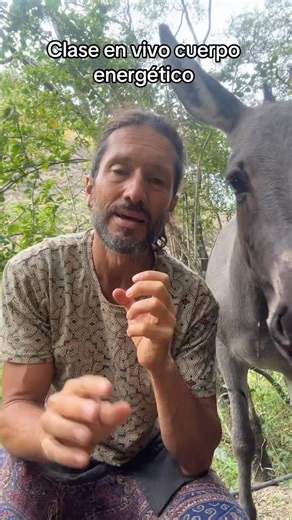 ¡No te pierdas nuestra clase en vivo sobre el cuerpo sutil energético! 🌟 Aprende ejercicios ancestrales para equilibrar tu energía y alcanzar el bienestar total. 💫 Únete a nosotros para una experiencia transformadora y revitalizante. Accede por www.patreon.com/yogadetoxschool 🔥🌿 | Yoga Detox