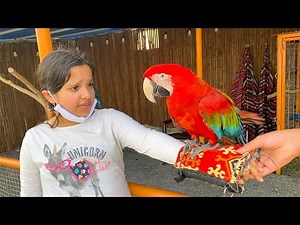 शफ़ा ने चुने नए पालतू जानवर