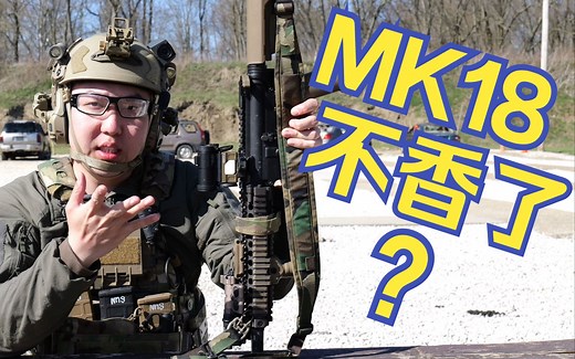 军迷手中的MK18 MOD1不香了？