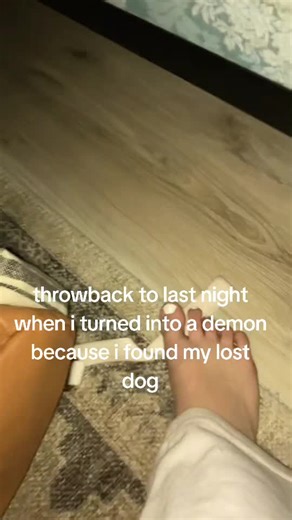 Turning Into a Demon: A Funny Dog Story