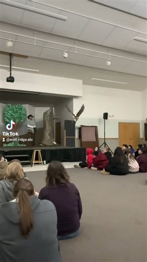 2.8K views · 47 reactions | Ruby the Red-tailed Hawk soaring in slow motion during naturalist Diego's raptors program!礪✨ #WolfRidgeELC #outdooreducation #environmentaleducation | Wolf Ridge Environmental Learning Center | Facebook