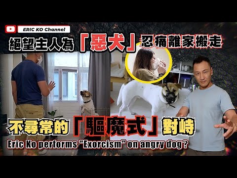 絕望主人為「惡犬」忍痛離家搬走不尋常的「驅魔式」對峙Eric Ko performs "Exorcism" on angry dog?