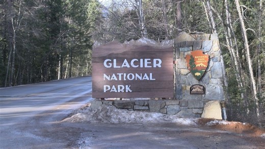 Missing hiker found dead in Glacier National Park, injuries consistent with bear encounter