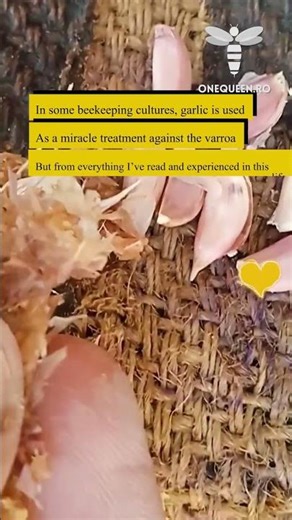 In some beekeeping cultures, garlic is used as a miracle treatment against the varroa, but from ever