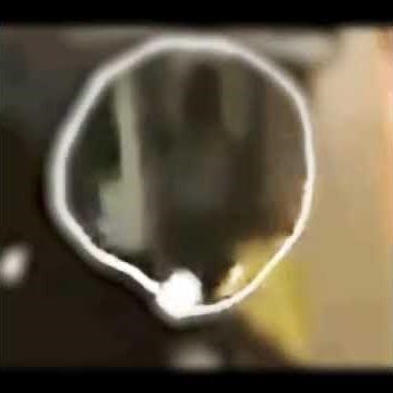 Video of Las Vegas Alien-April 30 2023