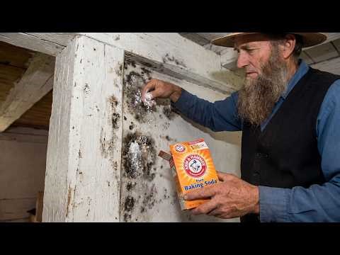 How Amish Reduce HUMIDITY and Remove MOLD Forever