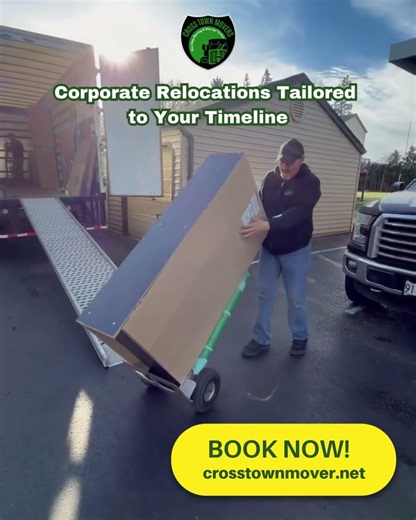 Handling tech infrastructure, heavy archival filing systems, or sensitive equipment requires profess