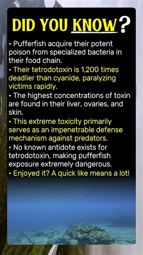 Pufferfish Poison: USA's Deep Sea Danger!