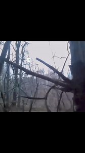 Creepiest “tutorial” you’ll ever watch.. 😳 #theparanormalchic #tutorial #creepy #spooky #cryptid #creature #wtf #scaryvideos #woods #paranormalactivity #paranormalinvestigator #paranormales #supernatural #youtuber #viral #fypage | ParanormalLink