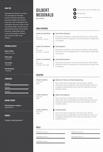 Data Engineer Resume ( Sample, Templates, And Practical Tips)