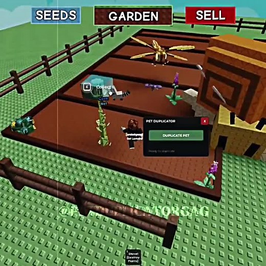 PET DUPLICATOR #roblox #fyp