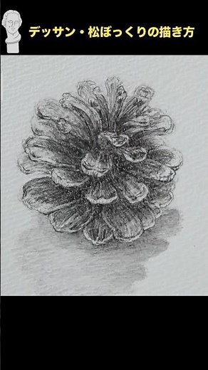 松ぼっくりの描き方【鉛筆デッサン初心者向け】 #デッサン #art #デッサン初心者 #drawing #design