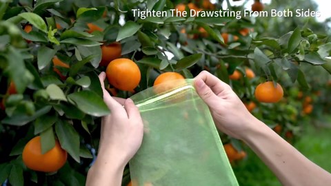 50PCS Fruit Protection Bags with Drawstring, 6x8 Inch Green Organza Produce Bags for Fruit Trees, Mesh Netting for Garden Protection