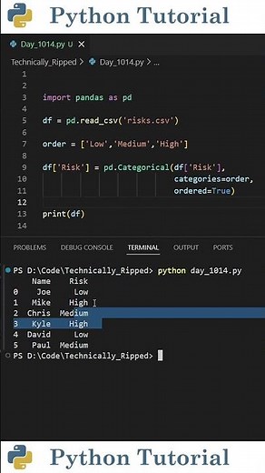 Renaming Categorical Values in Pandas | Python Tutorial