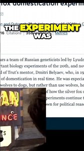 Revolutionary Fox Domestication Experiment Unveils MindBlowing Discoveries