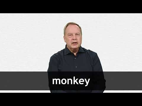 How to pronounce MONKEY in American English