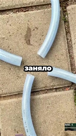 Кит-кат🦞 (@kit.kat_2024)’s videos with оригинальный звук - Кит-кат🦞