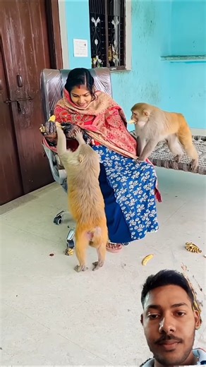 monkey # very funny #trending #viral #short #entertainment