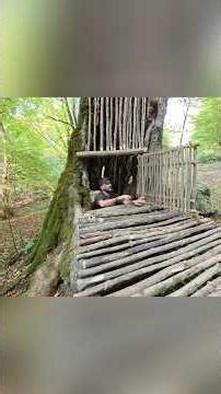 No Tree Cutting – Shelter from Dead Wood #EcoShelter #NoDeforestation #Bushcraft