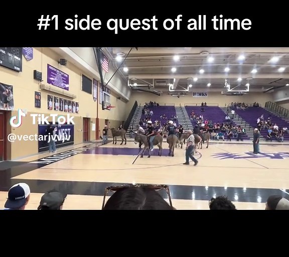 Donkey Basketball: The Unmatched Sport of All Time