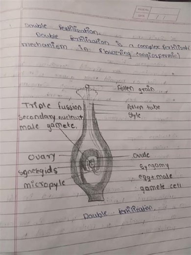 # 12 th std bio notes# 01 reproduction lower and higher plant