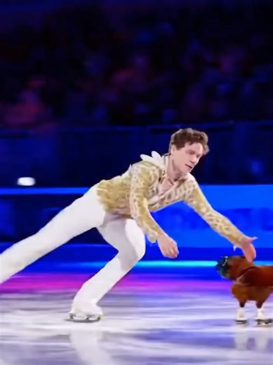New Olympic Sport - Chicken Figure Skating #olympics #newsport #chicken #iceskating #figureskating #aicomedy #lol