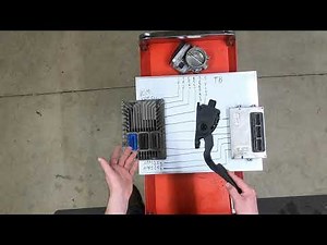 Don't Waste Your Money Electronic Throttle Controls